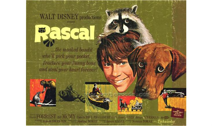 how a kids cartoon created a real life invasive army facts so