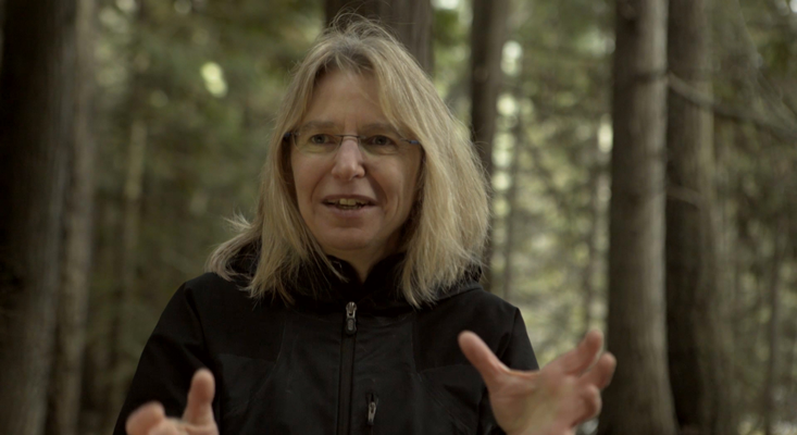 Never Underestimate the Intelligence of Trees: TREE WHISPERER: “I think that we’re so utilitarian with plants and we abuse them to no end. I think that comes from us having our blinders on. We haven’t looked,” says forest ecologist Suzanne Simard (above). 