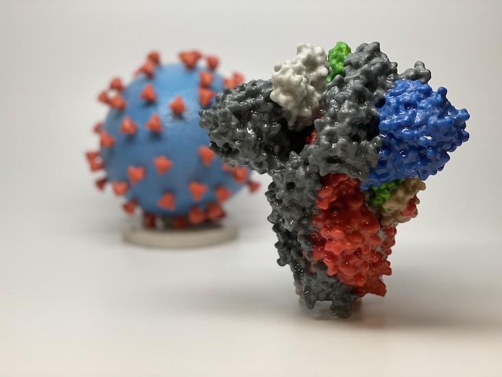 Will We Have a COVID-19 Vaccine Before 2021? - Facts So Romantic
